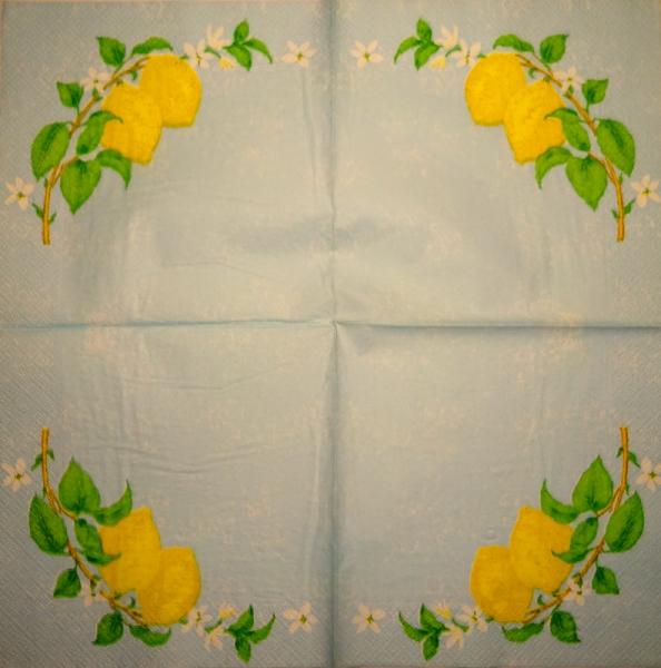 205 Lemons, Oranges - 3-ply